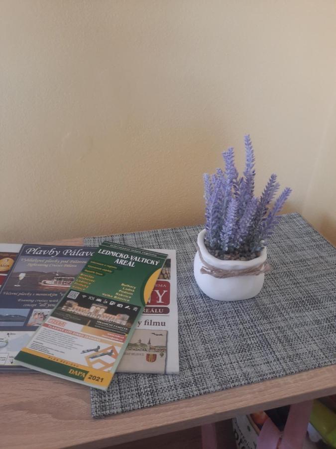 Apartman Sandra Вальтице Екстер'єр фото